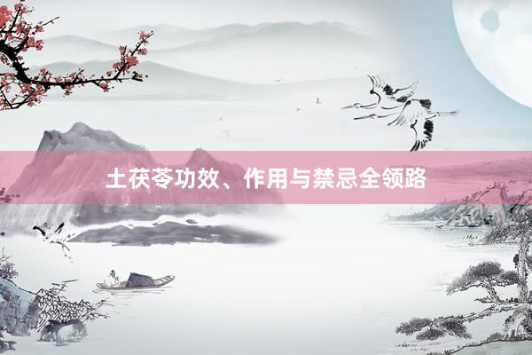 土茯苓功效、作用与禁忌全领路
