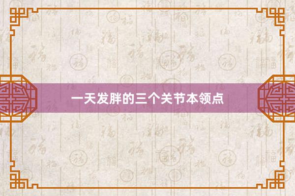 一天发胖的三个关节本领点